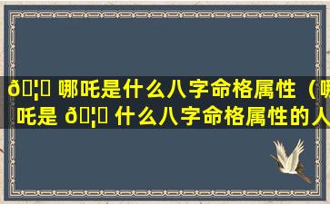 🦟 哪吒是什么八字命格属性（哪吒是 🦊 什么八字命格属性的人）